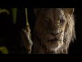 the lion king 2019 mufasa and scar talking scene hindi