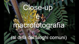 Close-up e macrofotografia (al di là dei luoghi comuni)