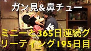 ミニーと365日連続グリーティング195日目〜ガン見\u0026鼻チュー〜 my Disney tour day 195 I meet minnie mouse