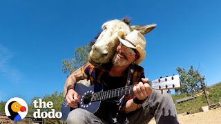 Donkey Snuggles Into Guy's Shoulder Every Time He Plays Guitar | The Dodo Soulma