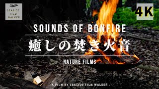 【観賞用焚き火】森の中美しく燃える炎と焚き火音｜Bonfires in the forest｜勉強・睡眠・集中｜The Sounds of bonfire.