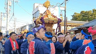 八街神社大祭　神輿渡御(年番·六区)　令和6年11月3日