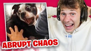 The Most CHAOTIC TIKTOK’S On The Internet!