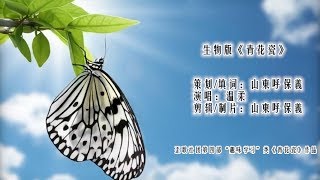 #歪歌社团#生物版《青花瓷》课堂知识大盘点