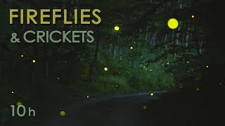 Fireflies & Crickets - Calming Nature Night Sounds & Sights for Sleep & Relaxation - 10 Hours