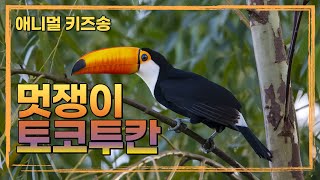 멋쟁이 토코투칸 (한국어 싱얼롱) | Look at Toucan in Korean #키즈송 #kidsmusic #animalsong