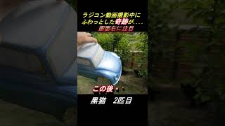 ラジコン・ポリカ塗装中に奇跡！ほんわか黒猫の奇跡が起きました　#Shorts