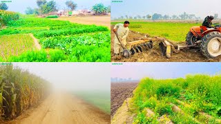 Dhundh bahut jyada ho chuki hai aaj ka din shar Karte aur burewala Jaate Gujara