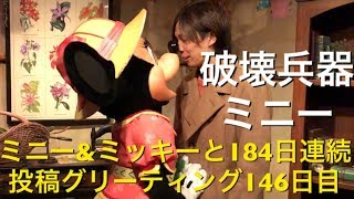 ミニー\u0026ミッキーと184日連続投稿グリーティング146日目〜破壊兵器ミニー〜 my Disney tour day 146 I meet minnie mouse \u0026 mickey mouse