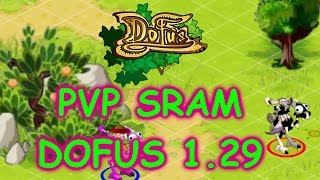 PVP SRAM dofus 1.29