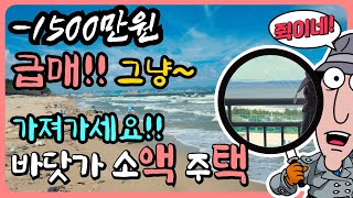 [급매 부동산] 바닷가 급매 값 싼 바닷가 집 바닷가 주택 매매 바닷가 집 매물 포항 바닷가 주택 매매 포항 부동산 매물