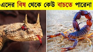 দুনিয়ার সবচেয়ে বিষাক্ত প্রাণী যাদের এক কামড় খেলে দশ সেকেন্ডে মৃ'ত্যু। Most poisonous animals