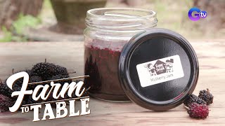 Farm To Table: Fork and Spade Farm’s mulberry plantation tour