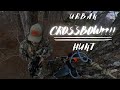 Ultra URBAN CROSSBOW(??!!!??) Late Season Hunt