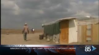 29 Agosto 2019   Ginosa TA   Immigrati sfruttati nei campi Arrestato caporale 29enne