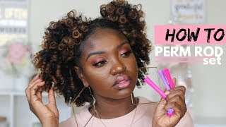 Perm Rod Set w/ Two Puffs | The Mane Choice Pink Lemonade and Coconut