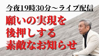 波動チャンネルライブ配信