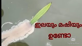 കുട്ടികൾക്കായി ഇതാ ഒരു simple boat😄😄😄||@4kidsmalayalam66