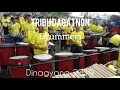 Tribu Dagatnon Drummers | Dinagyang 2019 3rd Runner Up