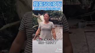 Henan Zhengzhou flood, 河南洪水 大姐欲哭无泪，今年养鸡赔钱，好不容易等到了价格高了，不想一场洪水，血本无归