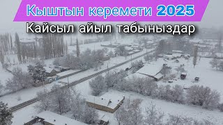 Кыштын керемети 2025 Кайсыл айыл табыныздар?