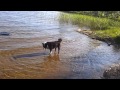 nova badar och gräver på fristad beach