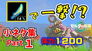 【裏技】96倍ダメージを与えるテクニック知ってる？【ゼルダの伝説 ティアーズ オブ ザ キングダム】【小ネタ集 Part1】