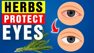 Top 7 Herbs and Foods to Protect and Repair Your Vision.