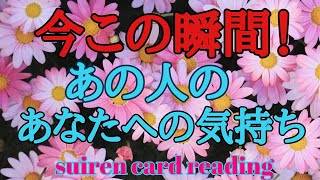 「今この瞬間！あの人のあなたへの気持ち❤️」suiren card reading