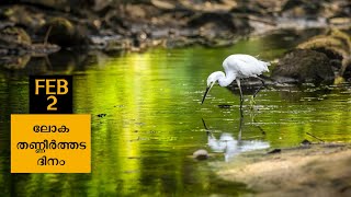 World Wetlands Day 2021 || ലോക തണ്ണീർത്തട ദിനം 2021 || 2 February 2021