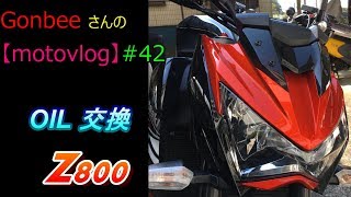 Z800 オイル交換しました！ 【motovlog】#42