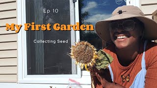 My First Garden | Ep 10 🌻 Collecting Seeds!