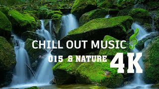 Chill Out Music vs Nature 4K | TCD Nature 15 Music Relaxing