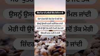 ਇੱਕ ਪਿਤਾ ✍️