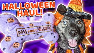 Surprising My Dog With Halloween Toys! 🎃 Halloween Shopping Haul