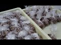 大阪）極みの肉職人がこだわり抜いた衝撃の神戸牛肉うどん丨Kobe beef udon noodles