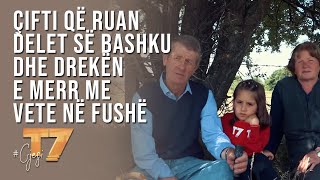 #gjesi: Çifti që ruan delet së bashku dhe drekën e merr me vete në fushë | T7