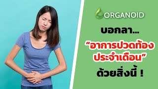 ถั่วดาวอินคา EP6 : ปวดประจำเดือน?  | Sacha Inchi | 사차인치 | ORGANOID | ออร์แกนอยด์