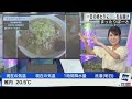 【戸北美月】飯テロリポートに変な声が出てしまうお天気お姉さんｗ ウェザーニュースlive切り抜き