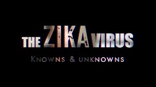 The ZIka Virus: Knowns \u0026 Unknowns