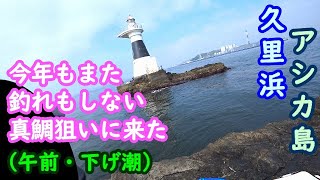 【久里浜】今年もアシカ島で釣れもしない真鯛狙い・午前 下げ潮【2023年4月下旬】