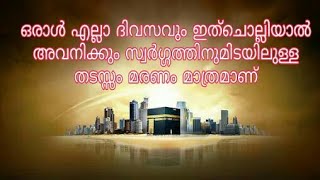 എല്ലാ ദിവസവും ചൊല്ലുക. പ്രതിഫലം സ്വർഗ്ഗമാണ്... മറ്റുള്ളവരിലേക്ക് Share ചെയ്ത് എത്തിക്കുക