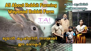 Wayanad Rabbit Farm , മുയൽ കൃഷിയിൽ താരമായി ഈ ഡോക്ടർ / വയനാട് റാബിറ്റ്  ഫാം