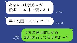 真冬の早朝、隣人が「あなたの孫が公園で寝ているよ！」と言った。すると、寒さをしのいで段ボールを使っていた孫が…我が家に向かう途中で迷子になったらしいが、実は…。