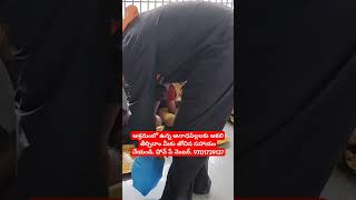 వృద్ధాశ్రమంలో ఉన్న వృద్దులకు  అనాధపిల్లలకు ఆకలి తీర్చుదాంరండి.