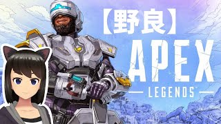 【野良APEX】アドバイス・説明行為は一切禁止！※必ず概要欄をご確認ください！