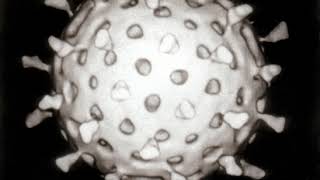 Virus | Wikipedia audio article