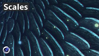 Scales - Cinema 4D Tutorial