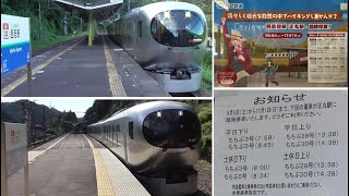 西武 特急Laview　西吾野駅＆ 正丸駅　初（臨時）停車