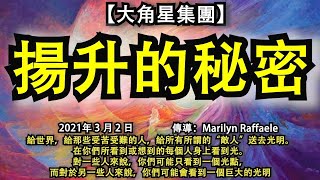 【大角星集團】《揚升的秘密》給世界，給那些受苦受難的人，給所有所謂的“敵人”送去光明。在你們所看到或想到的每個人身上看到光。對一些人來說，你們可能只看到一個光點，對於另一些人來說，可能會看到巨大的光明